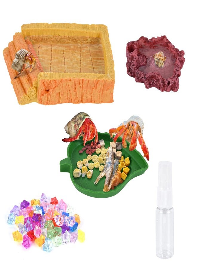 NestBasics 5 Pack Hermit Crab Water Pool Hermit Crab Food Bowl Dish Reptile Terrarium Water Bowls Reptile Starter Kits Accessories for Hermit Crab Leopard Gecko Frog Spider Lizard Turtle Bearded Dragon etc - Image 1